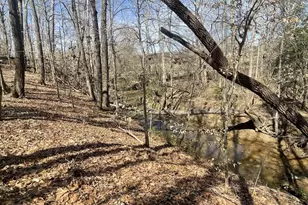 445 Drummond Rd, Enoree, SC 29335 - Photo 42