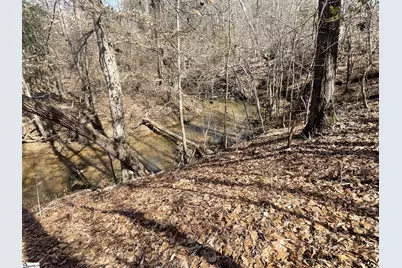 445 Drummond Road, Enoree, SC 29335 - Photo 44