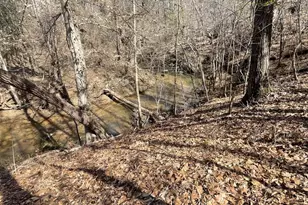 445 Drummond Rd, Enoree, SC 29335 - Photo 44