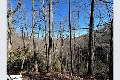 0 Chestnut Ridge Road, Greenville, SC 29609 - Photo 2