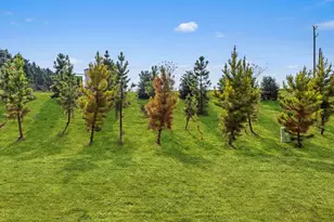 50 Sunriff CT, Greer, SC 29651 - Photo 32