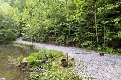 122 Glassy Falls Trail, Travelers Rest, SC 29690 - Photo 12