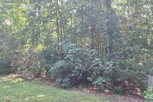 107 Pine Rd, Laurens, SC 29360 - Photo 46