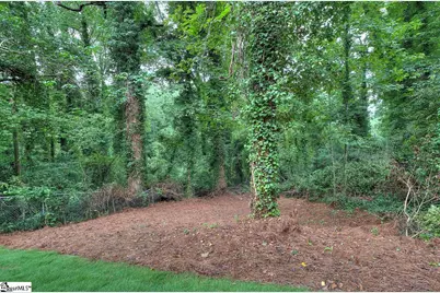 226 Cowan Court, Greenville, SC 29607 - Photo 36