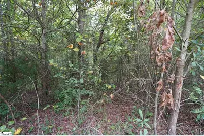 3961 Forrester Road, Greer, SC 29651 - Photo 20