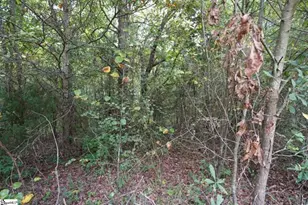 3961 Forrester Rd, Greer, SC 29651 - Photo 20