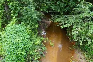 3961 Forrester Rd, Greer, SC 29651 - Photo 26