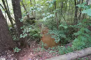 3961 Forrester Rd, Greer, SC 29651 - Photo 24