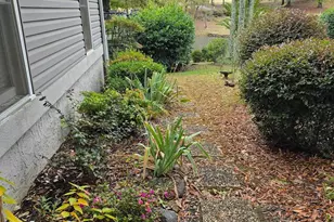 7 15th Vantage, Campobello, SC 29322 - Photo 6