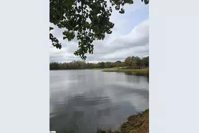 7 15th Vantage, Campobello, SC 29322 - Photo 38