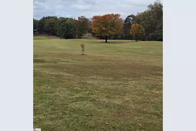 7 15th Vantage, Campobello, SC 29322 - Photo 42