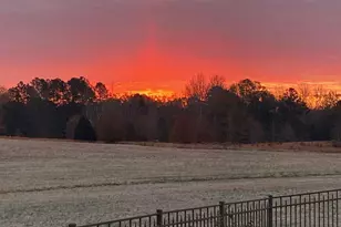 1772 Mahaffey Rd, Gray Court, SC 29645 - Photo 50