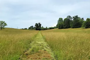 939 Quarter Round Rd, Pacolet, SC 29372 - Photo 8