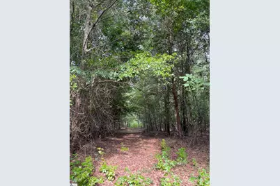 69 Lamb Road, Lyman, SC 29365 - Photo 6