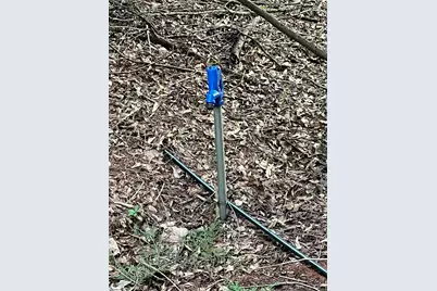 69 Lamb Road, Lyman, SC 29365 - Photo 12