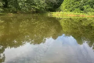 69 Lamb Rd, Lyman, SC 29365 - Photo 1