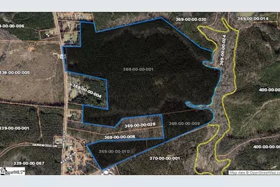 0 S Highway 221, Waterloo, SC 29384 - Photo 1