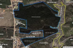 0 S Hwy 221, Waterloo, SC 29384 - Photo 1