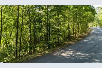 207 Luberon Lane, Travelers Rest, SC 29690 - Photo 6