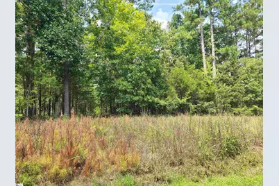 Deer Valley Road, Waterloo, SC 29384 - Photo 2