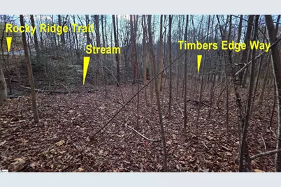 2 Timbers Edge Way, Travelers Rest, SC 29690 - Photo 28