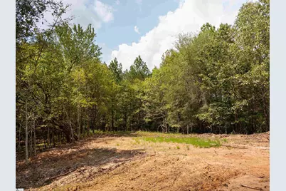 01 Neal Shoals Road, Union, SC 29379 - Photo 4