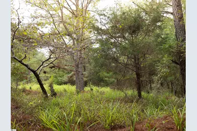 01 Neal Shoals Road, Union, SC 29379 - Photo 34