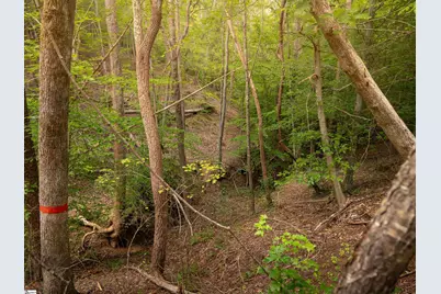 01 Neal Shoals Road, Union, SC 29379 - Photo 42