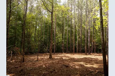 02 Neal Shoals Road, Union, SC 29379 - Photo 44