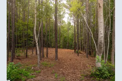 02 Neal Shoals Road, Union, SC 29379 - Photo 16