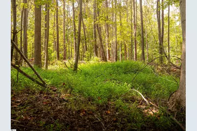 02 Neal Shoals Road, Union, SC 29379 - Photo 46