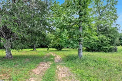 819 J C Cooper Road, Fountain Inn, SC 29644 - Photo 42