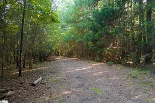 737 Burnt Mill Creek Rd, Mountville, SC 29370 - Photo 18