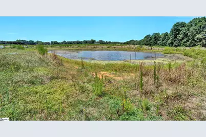 313 Henderson Road, Gray Court, SC 29645 - Photo 4