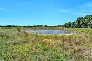 313 Henderson Rd, Gray Court, SC 29645 - Photo 4