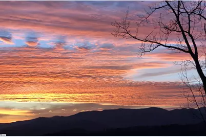 156 Cherokee Rose Trail, Marietta, SC 29661 - Photo 2