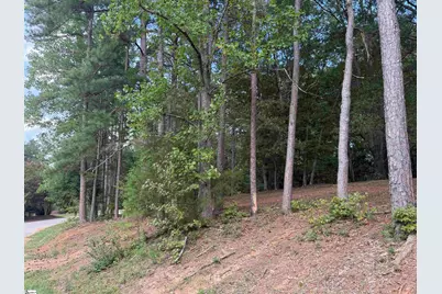 276 Saranac Drive, Spartanburg, SC 29307 - Photo 2