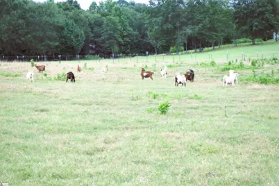 135 Glendarosa Drive, Inman, SC 29349 - Photo 32