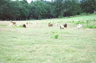 135 Glendarosa Dr, Inman, SC 29349 - Photo 32