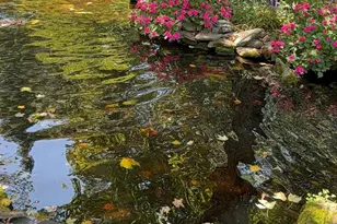 102 Lex Ct, Greer, SC 29651 - Photo 40