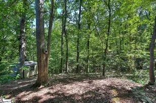 14 Flicker Dr, Greenville, SC 29609 - Photo 36