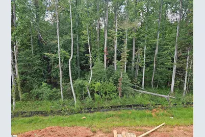 206 Jacqueline Road #Lot 34, Piedmont, SC 29673 - Photo 6