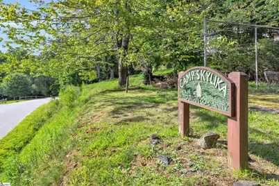 3605 Skyuka Mountain Road, Columbus, NC 28722 - Photo 36