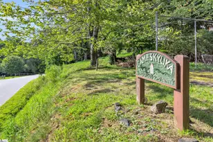 3605 Skyuka Mountain Rd, Columbus, NC 28722 - Photo 36