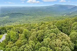 3605 Skyuka Mountain Rd, Columbus, NC 28722 - Photo 40