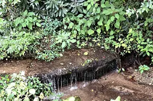 306 Rocky Bottom Rd, Sunset, SC 29685 - Photo 16