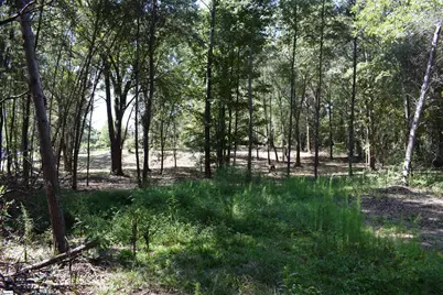 0 Lyman Lodge Road, Lyman, SC 29365 - Photo 22