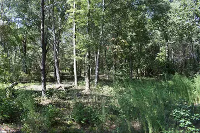 0 Lyman Lodge Road, Lyman, SC 29365 - Photo 8