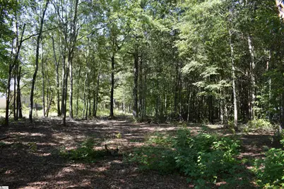 0 Lyman Lodge Road, Lyman, SC 29365 - Photo 4