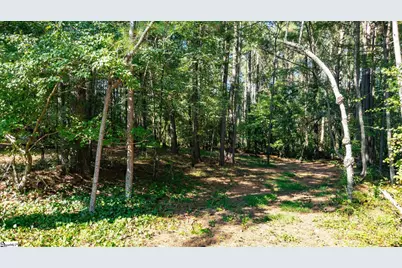 225 Meadow Brook Lane, Pickens, SC 29671 - Photo 36